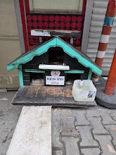 İstanbul Kağıthane Belediyesi Kedi Evi Talebi (Ücretsiz) Fotoğraflı Müşteri Yorumları