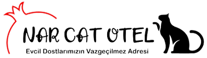 Nar Cat Otel